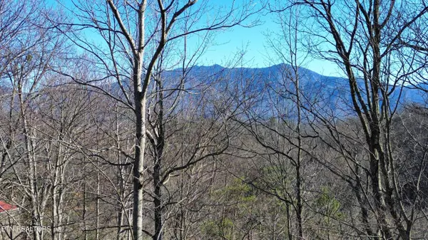 Gatlinburg, TN 37738,Cove