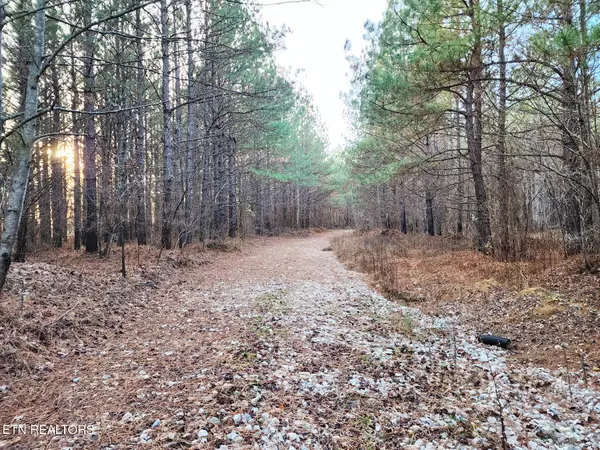 Robbins, TN 37852,T27 West Robbins Rd