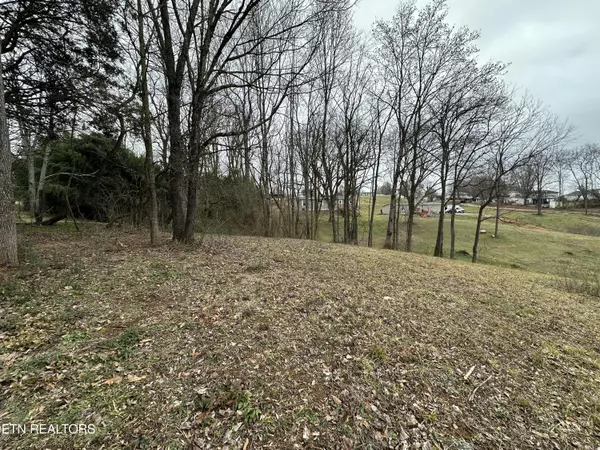 Sweetwater, TN 37874,LOT 3R2 Sweetwater Vonore Rd