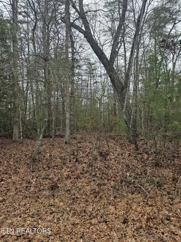 5053 Broken Bow DR, Crossville, TN 38572
