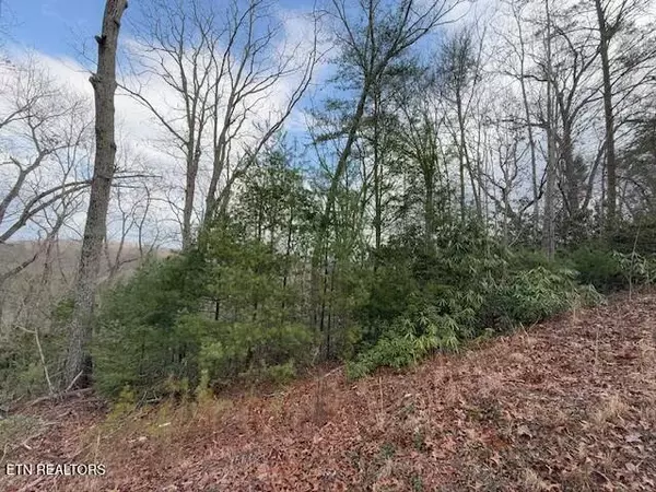 Sevierville, TN 37876,Lot 974 Ridgefield Dr