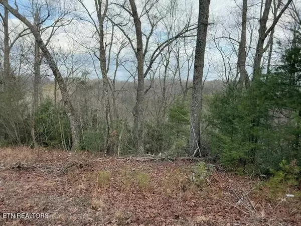Sevierville, TN 37876,Lot 974 Ridgefield Dr