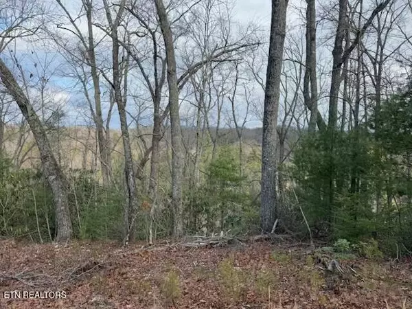 Sevierville, TN 37876,Lot 973 Ridgefield Dr