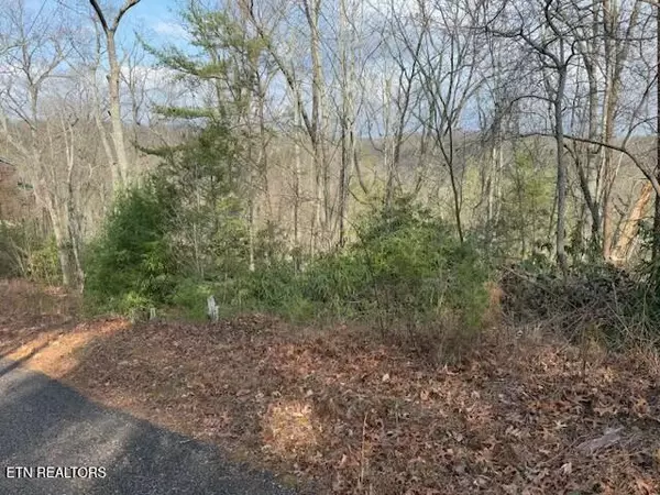 Sevierville, TN 37876,Lot 973 Ridgefield Dr