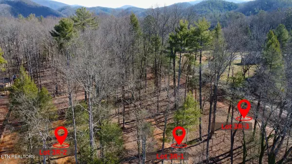 Townsend, TN 37882,Lot 3R-2 Bethel Church Rd