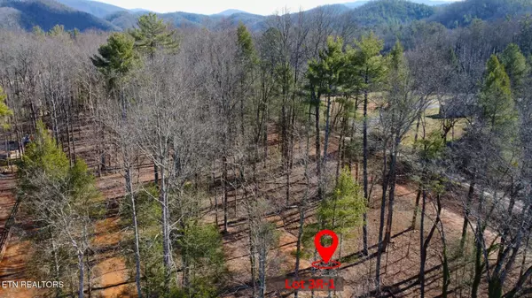 Townsend, TN 37882,Lot 3R-1 Bethel Church Rd