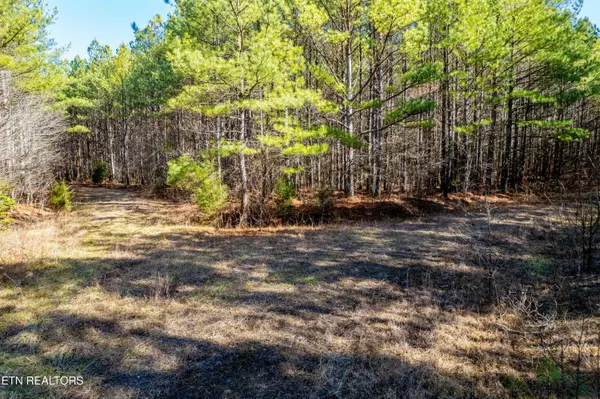 Rockwood, TN 37854,Airport Rd
