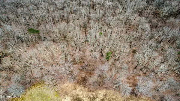 Pioneer, TN 37847,Wilderness Ridge LN