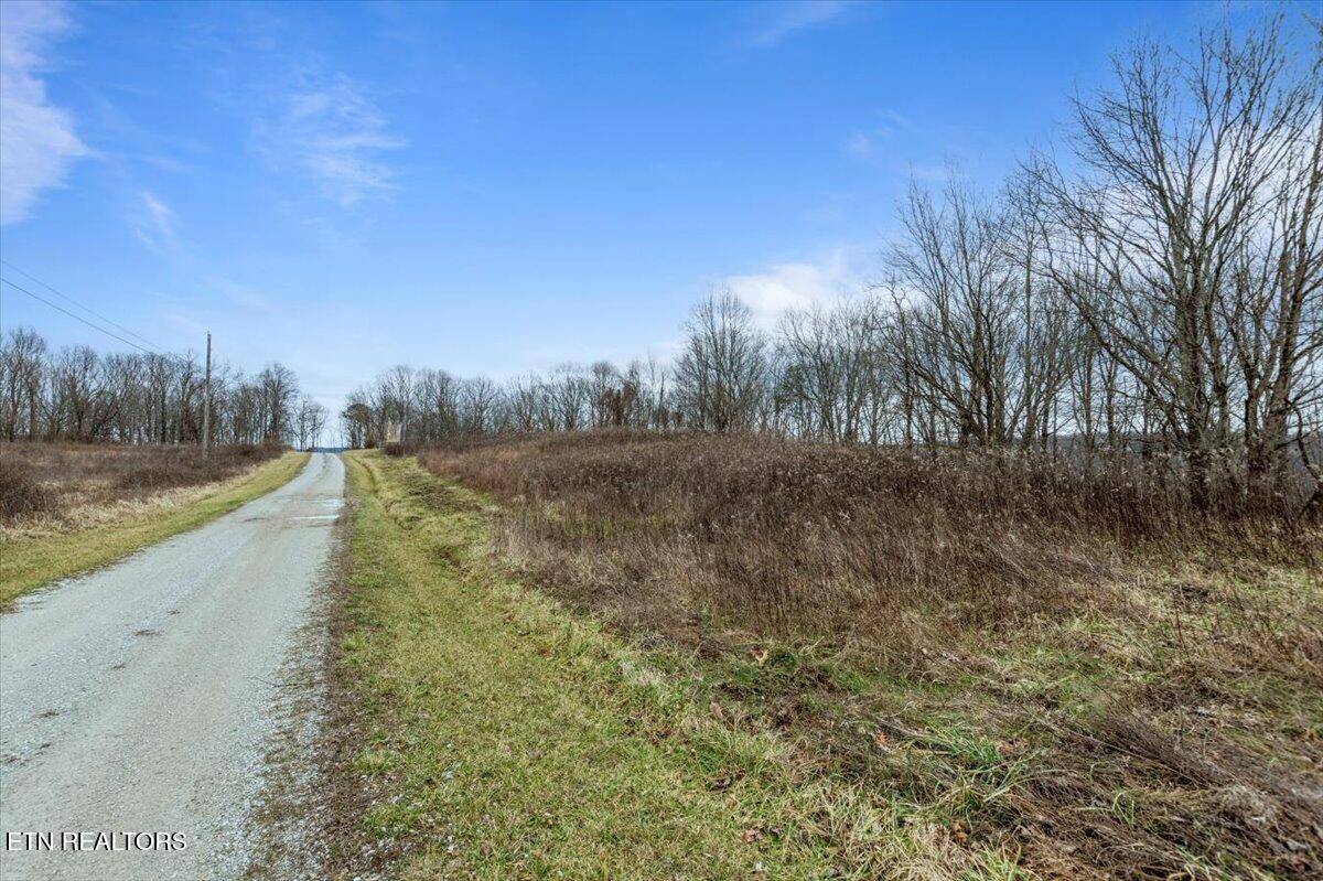 Pioneer, TN 37847,Wilderness Ridge LN