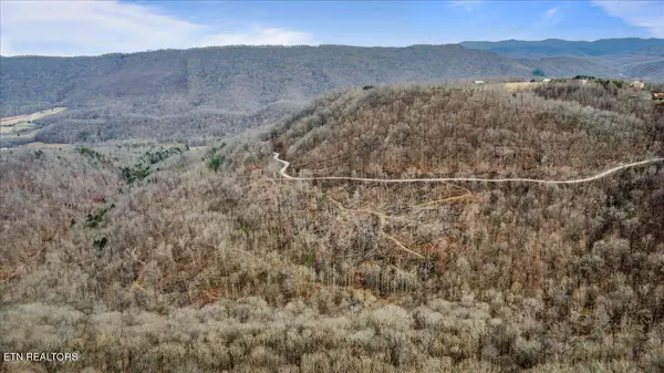 Pioneer, TN 37847,Wilderness Ridge LN