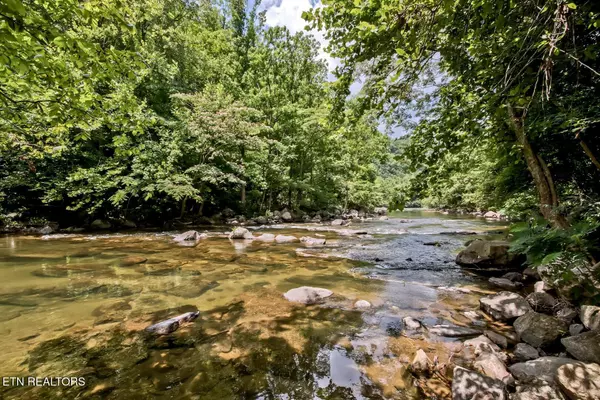 6750 Old Walland Hwy, Townsend, TN 37882