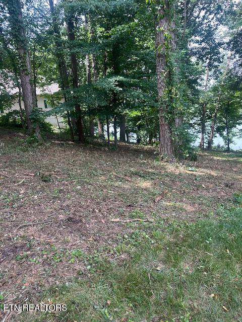 Loudon, TN 37774,317 Inagehi LN