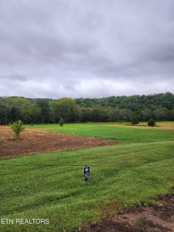 Dunlap, TN 37327,63 River Ridge DR
