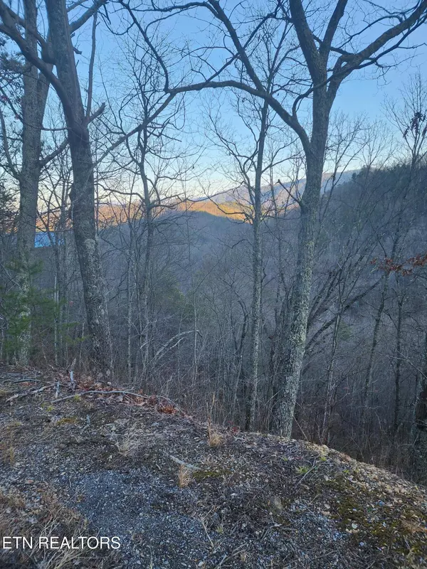 Overholt Trl, Sevierville, TN 37862