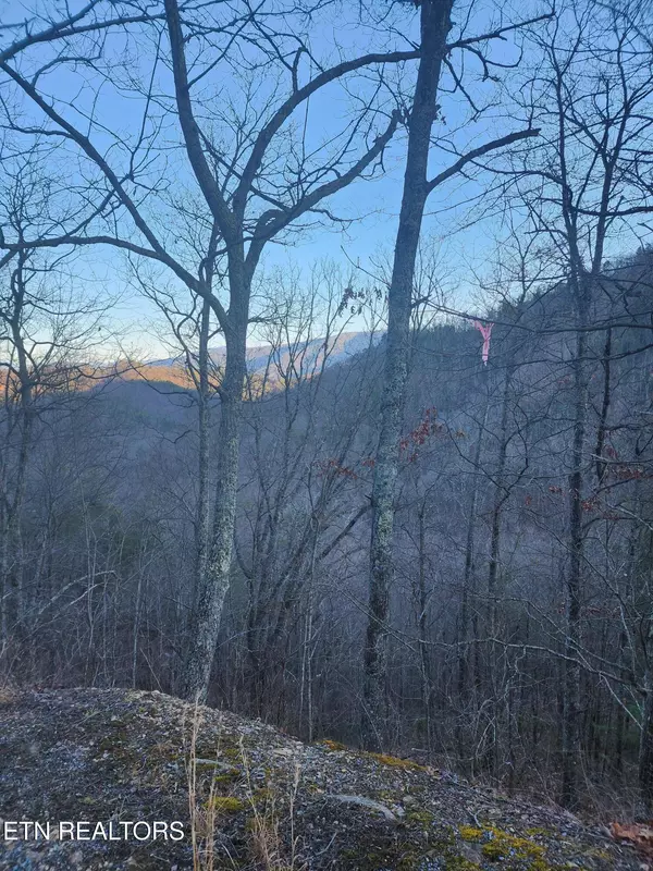 Overholt Trl Lot 2B, Sevierville, TN 37862