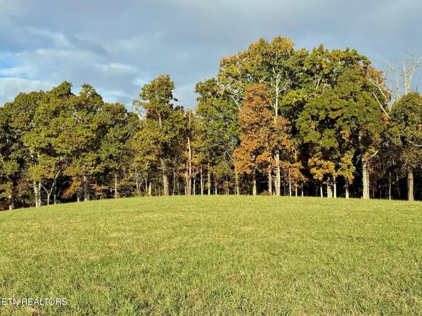 Lenoir City, TN 37771,Somerset Estates | Homesite 3