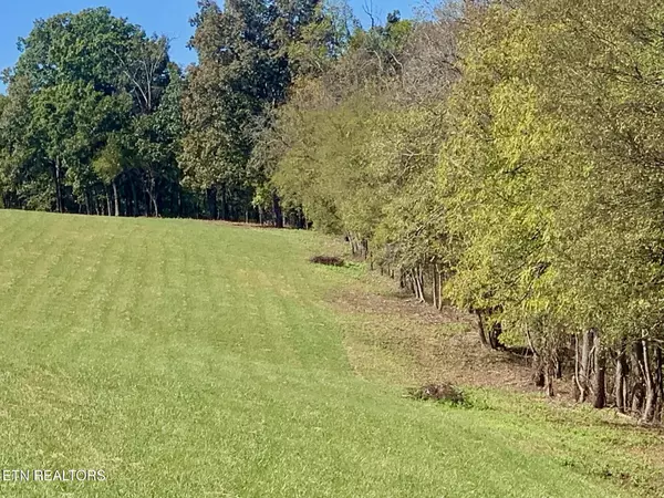 Lenoir City, TN 37771,Somerset Estates | Homesite 6