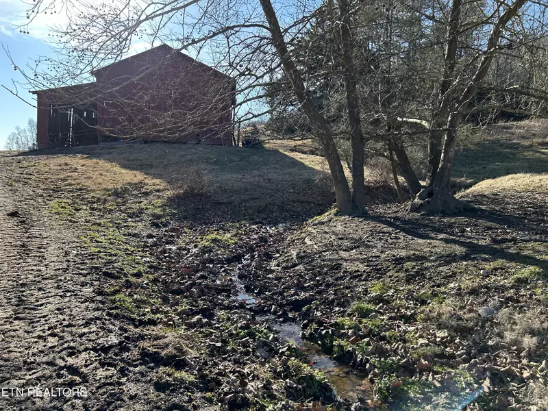 Hwy 61, Luttrell, TN 37779