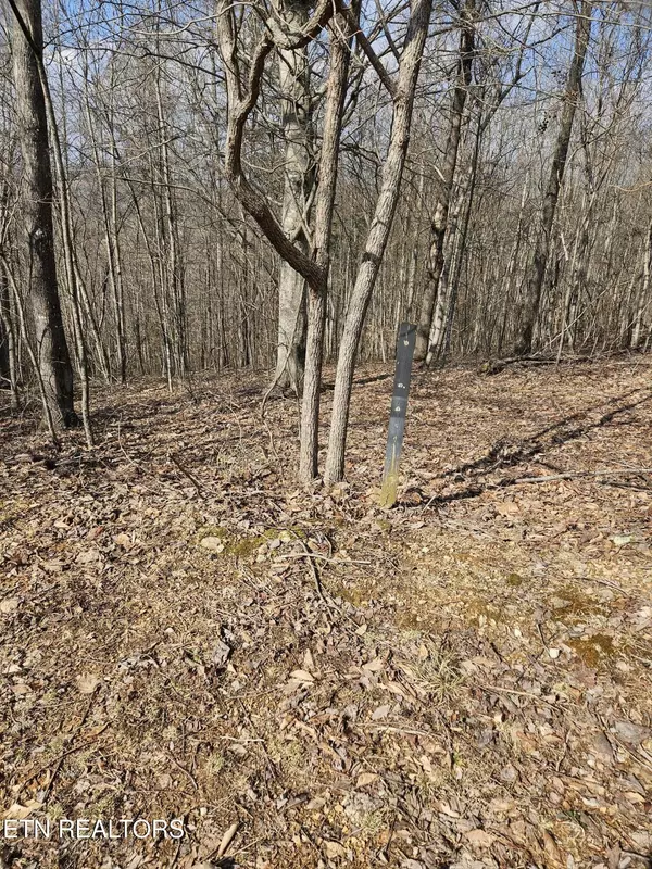 New Tazewell, TN 37825,Lot 191 Moonstone LN