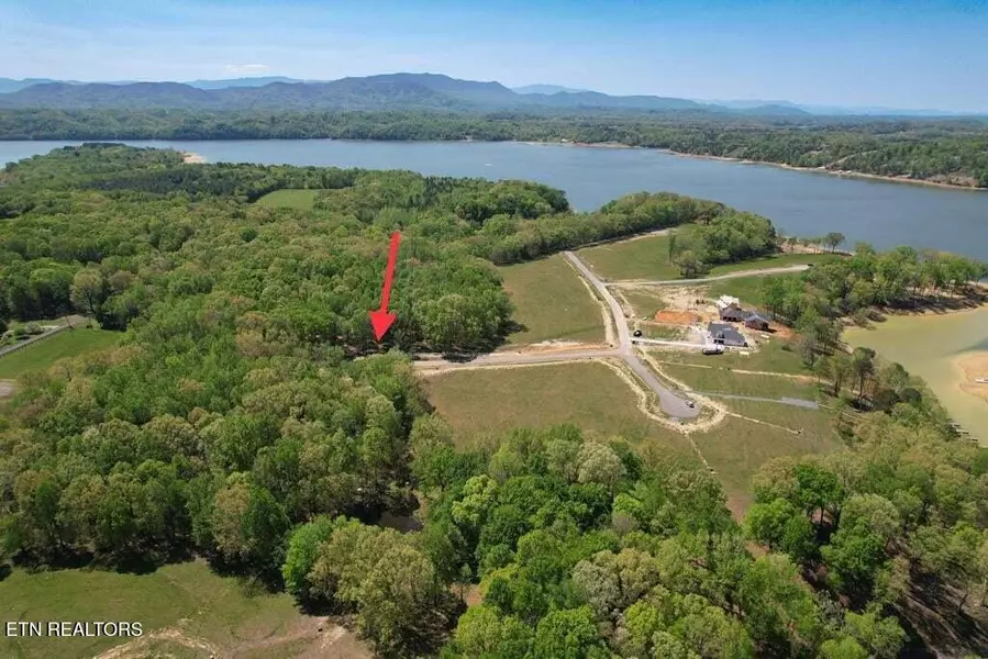 25 Sunset Blvd, White Pine, TN 37890