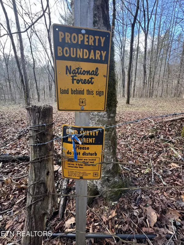 Del Rio, TN 37727,Old 15th Rd