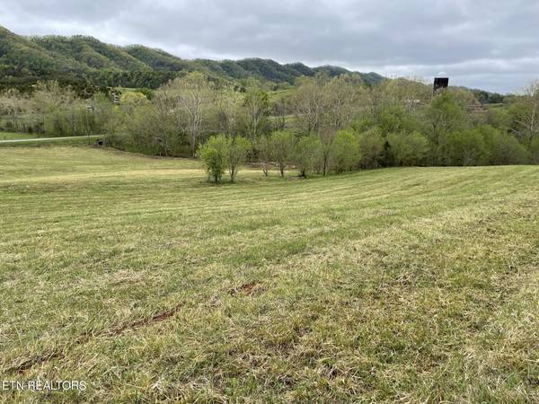 0 Clinch Valley, Eidson, TN 37731