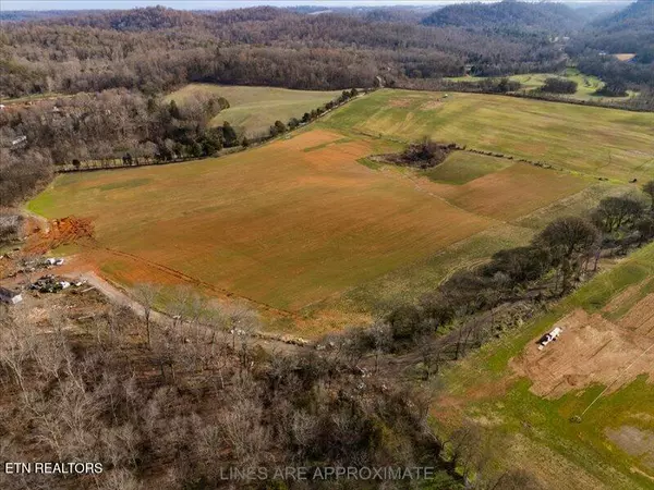 Greenback, TN 37742,21075 Meadow Rd #Lot#1