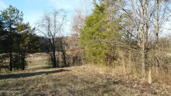 Lot 1R-3 Old Sevierville PIKE, Seymour, TN 37865