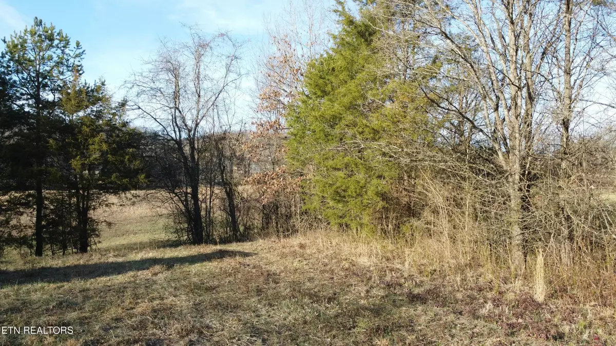 Seymour, TN 37865,Lot 1R-3 Old Sevierville PIKE