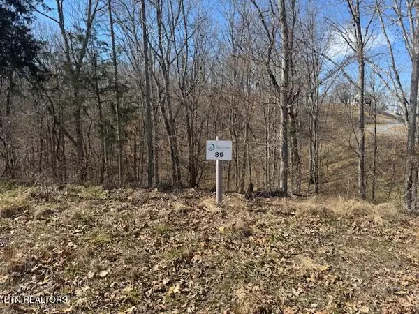 Dandridge, TN 37725,Lot 89 Harbor Ridge LN