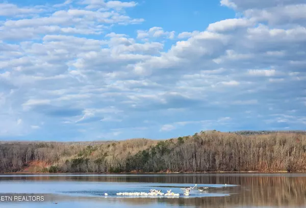 Rockwood, TN 37854,Eagle Point DR