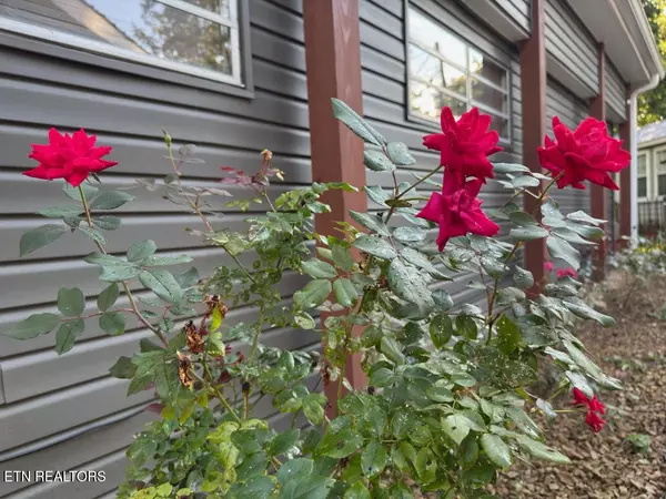 Crossville, TN 38572,48 Apache Tr