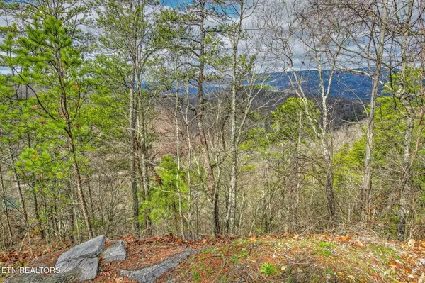 Lot 137 Mountain Ridge WAY, Sevierville, TN 37862