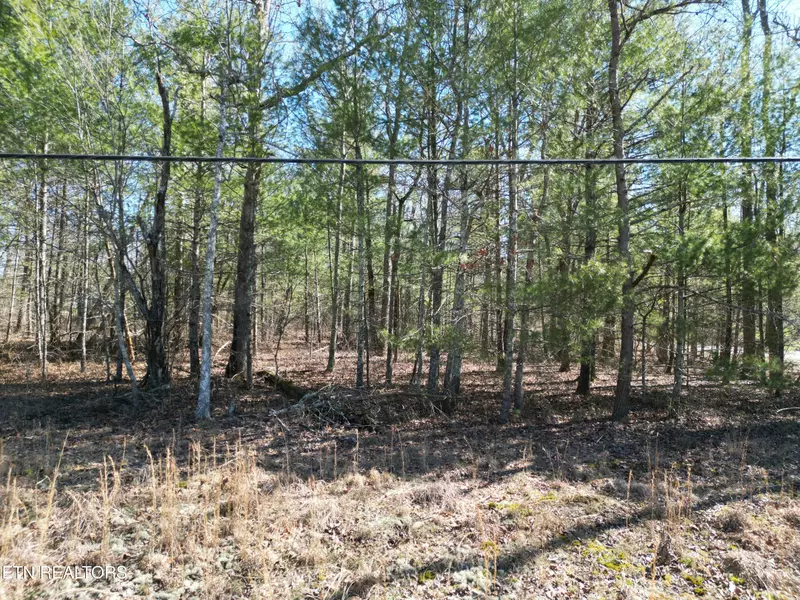 6123 Seneca Tr, Crossville, TN 38572
