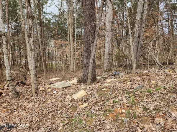 Maynardville, TN 37807,Lot 6 Lynn Drive DR