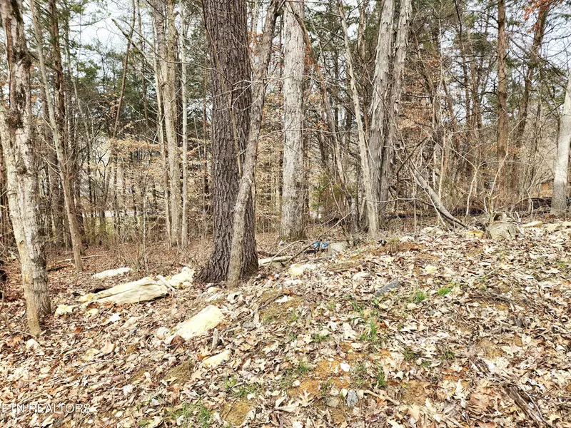 Lot 6 Lynn Drive DR, Maynardville, TN 37807