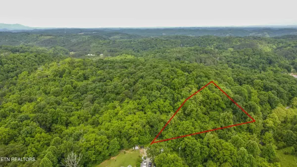 Parrottsville, TN 37843,0 Looney Road Rd