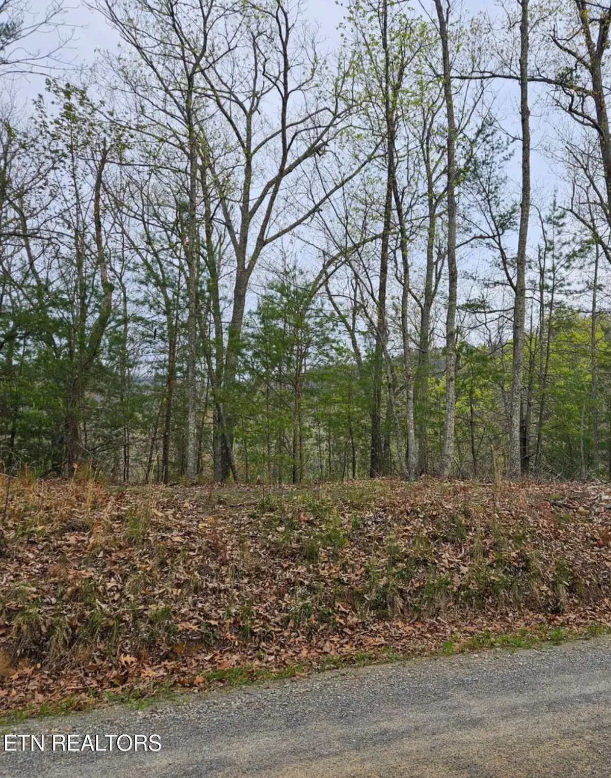 Sevierville, TN 37876,Hickory Tree St