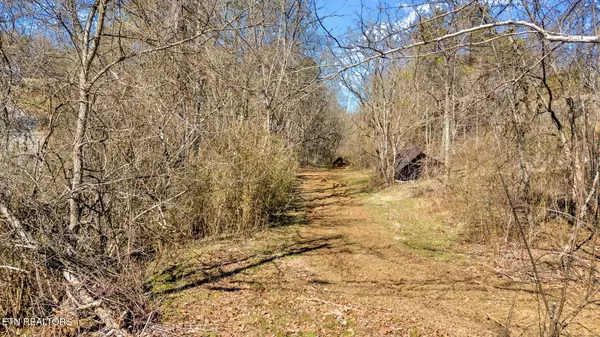 Seymour, TN 37865,1858 Old Chilhowee Road Rd