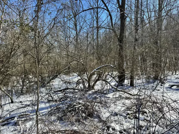 Oneida, TN 37841,0 Hill Ave