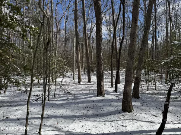 Lot 2 Falls Rd, Monterey, TN 38574