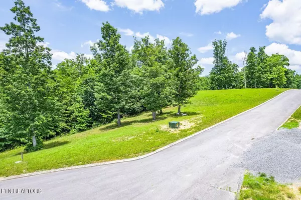 Spring City, TN 37381,350 River Run Tr