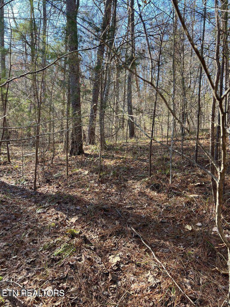 Madisonville, TN 37354,Lot 157 Laurel Lake CIR
