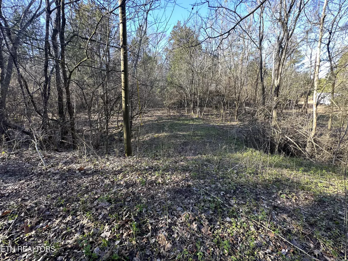 Louisville, TN 37777,Lot 41 Haven Hill Rd.