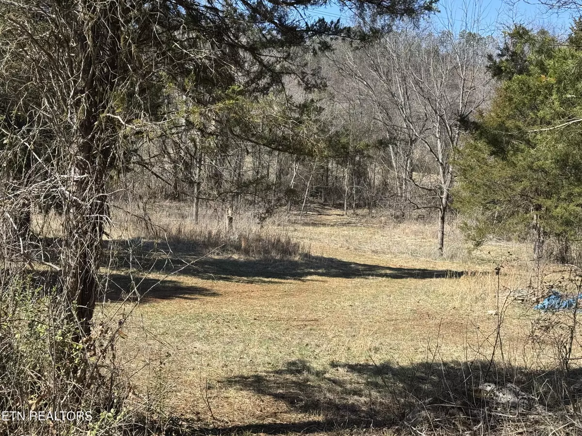 Seymour, TN 37865,Union Valley Rd