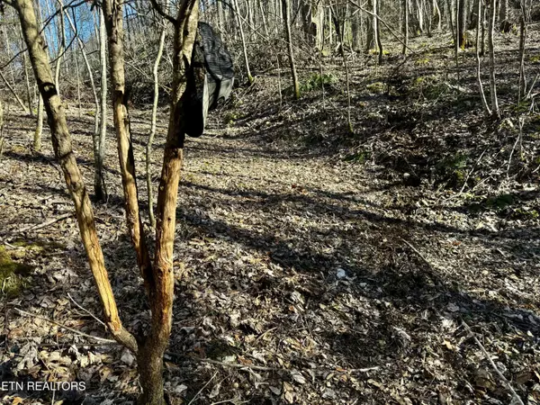 Mountain City, TN 37683,Hwy 421