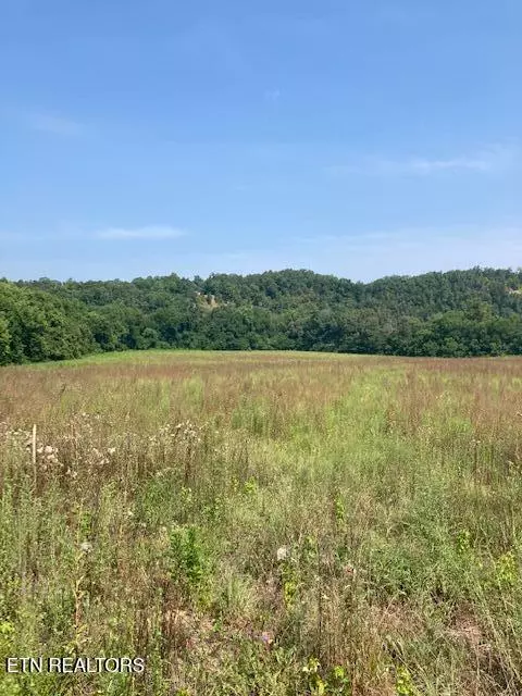 Pigeon Forge, TN 37863,728 Snowflower CIR #11