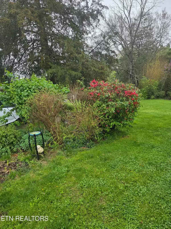 Cumberland Gap, TN 37724,352 Bug Hole Rd