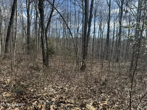 Niota, TN 37826,975 County Road 316 Lot 139