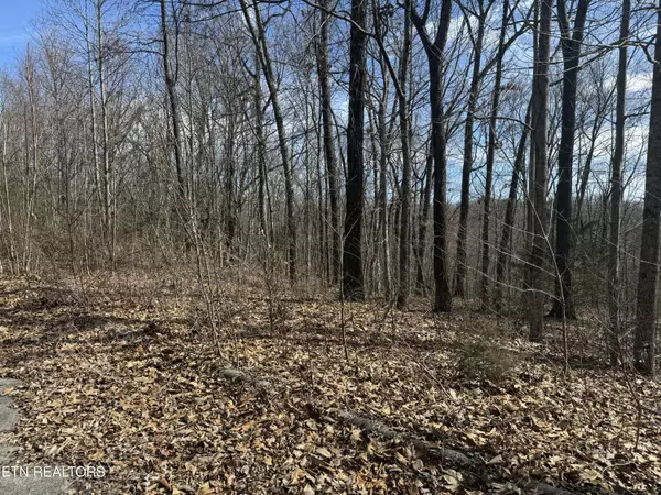 Niota, TN 37826,975 County Road 316 Lot 178